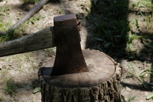 Axe--Image by Peter Murphy