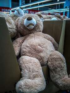 Love Bear--image by m01229